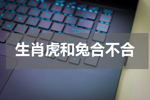 生肖虎和兔合不合