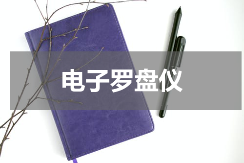 电子罗盘仪
