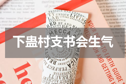 下蛊村支书会生气