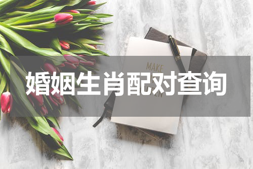 婚姻生肖配对查询