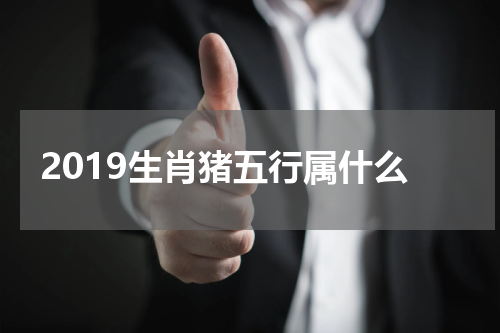 2019生肖猪五行属什么