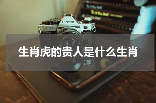 生肖虎的贵人是什么生肖