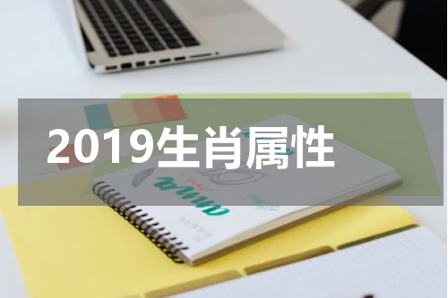 2019生肖属性