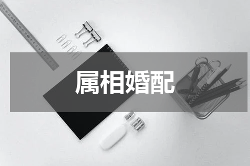属相婚配