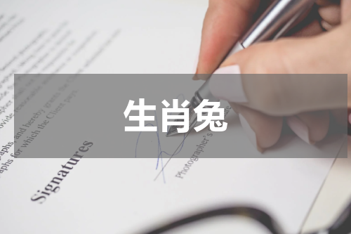 生肖兔