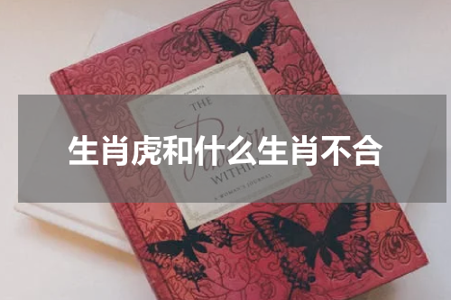 生肖虎和什么生肖不合
