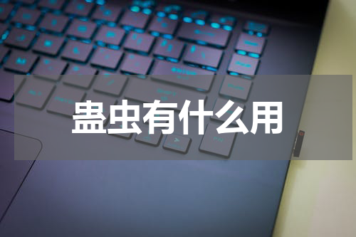 蛊虫有什么用