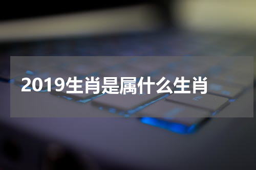 2019生肖是属什么生肖