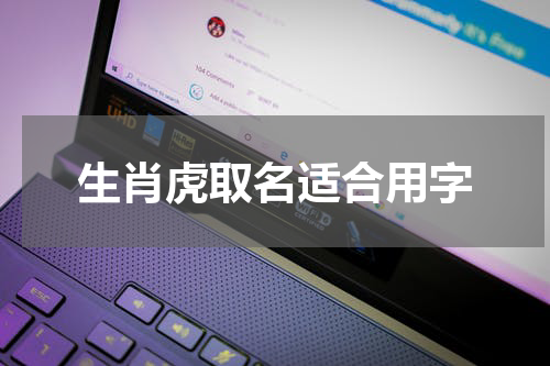 生肖虎取名适合用字
