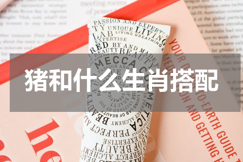 猪和什么生肖搭配