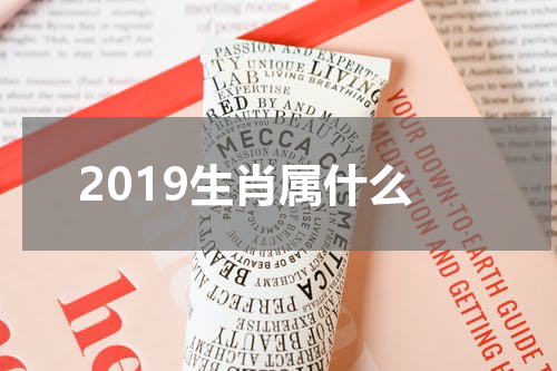 2019生肖属什么