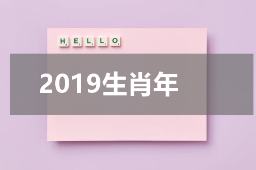 2019生肖年