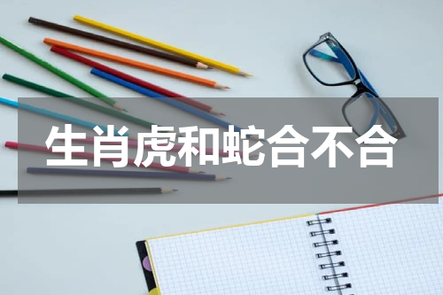 生肖虎和蛇合不合