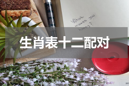 生肖表十二配对