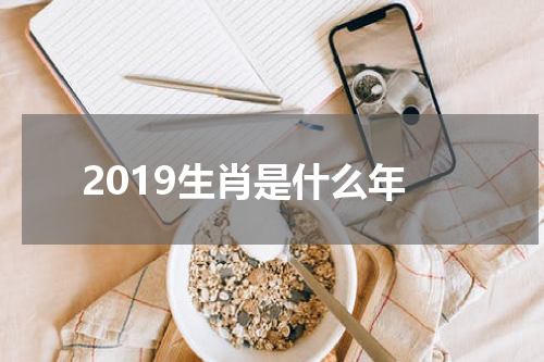 2019生肖是什么年