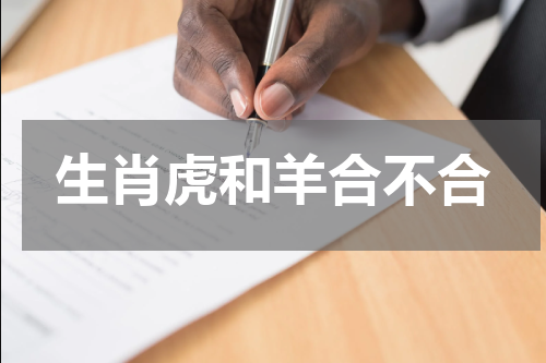 生肖虎和羊合不合