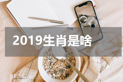 2019生肖是啥