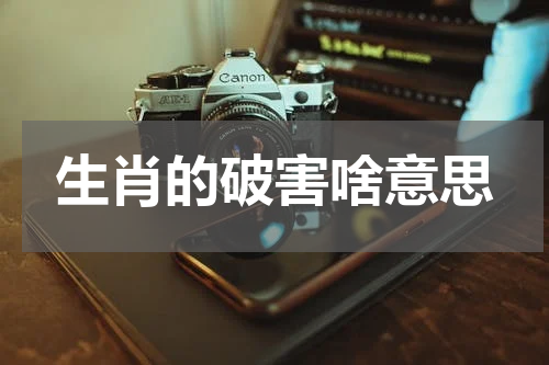 生肖的破害啥意思