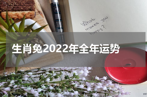 生肖兔2022年全年运势