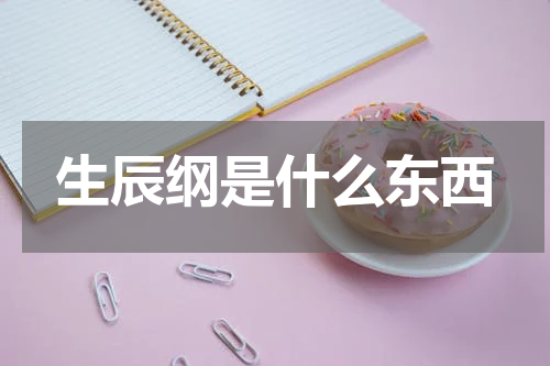生辰纲是什么东西