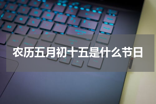 农历五月初十五是什么节日