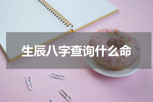 生辰八字查询什么命