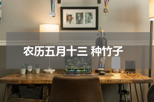 农历五月十三 种竹子