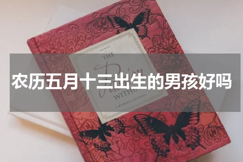 农历五月十三出生的男孩好吗