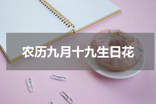 农历九月十九生日花