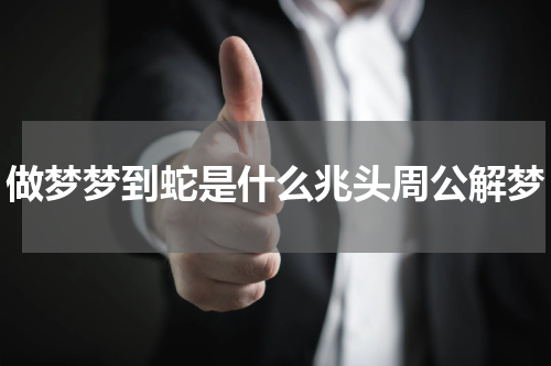 做梦梦到蛇是什么兆头周公解梦