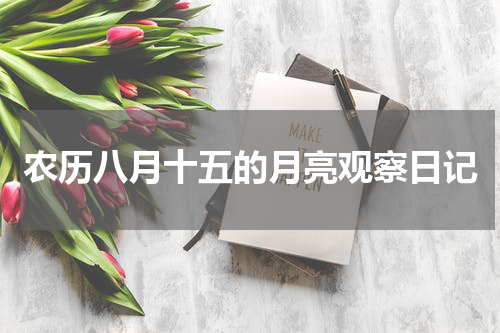 农历八月十五的月亮观察日记