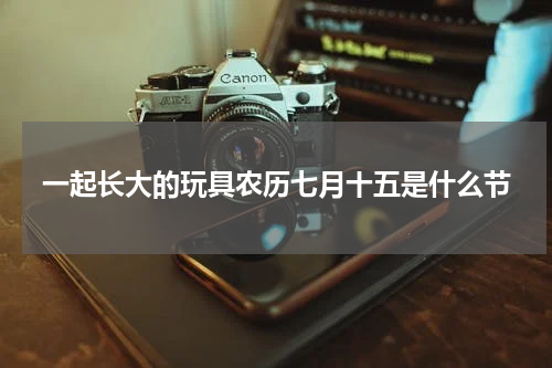 一起长大的玩具农历七月十五是什么节