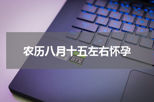 农历八月十五左右怀孕