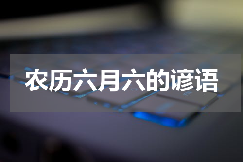 农历六月六的谚语