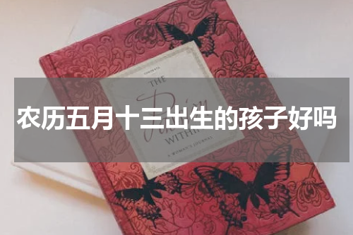 农历五月十三出生的孩子好吗