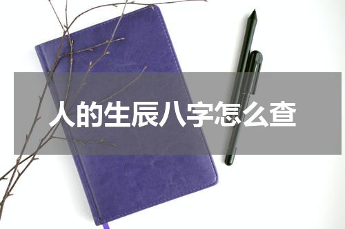 人的生辰八字怎么查