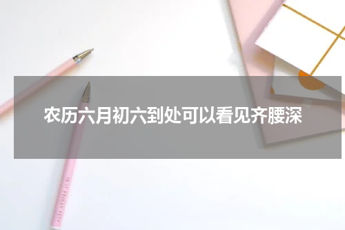 农历六月初六到处可以看见齐腰深