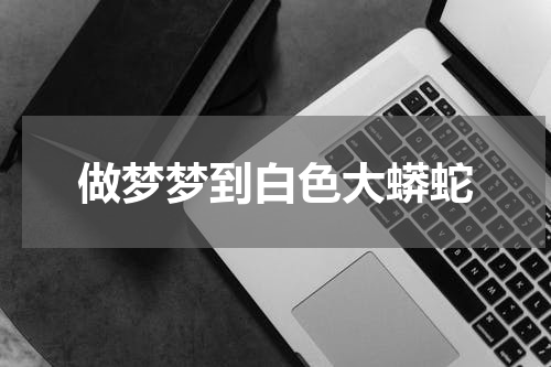 做梦梦到白色大蟒蛇