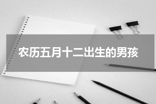 农历五月十二出生的男孩