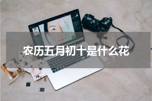农历五月初十是什么花