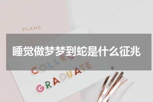 睡觉做梦梦到蛇是什么征兆