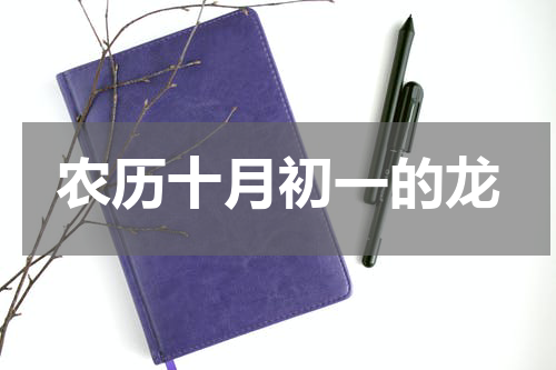 农历十月初一的龙