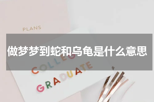 做梦梦到蛇和乌龟是什么意思
