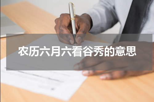 农历六月六看谷秀的意思