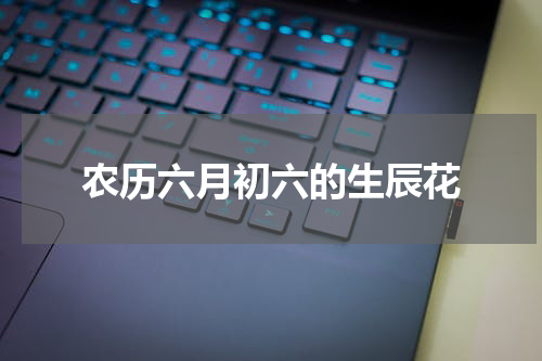 农历六月初六的生辰花