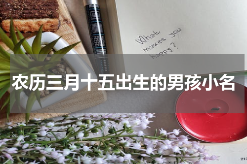 农历三月十五出生的男孩小名