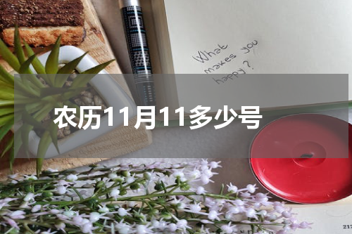 农历11月11多少号