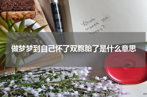 做梦梦到自己怀了双胞胎了是什么意思