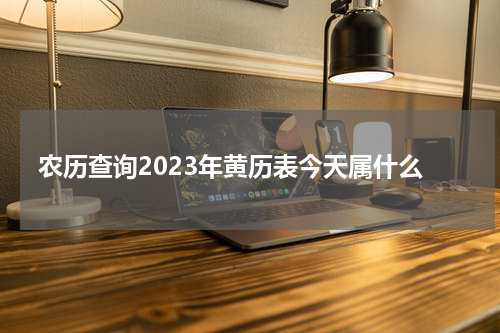 农历查询2023年黄历表今天属什么