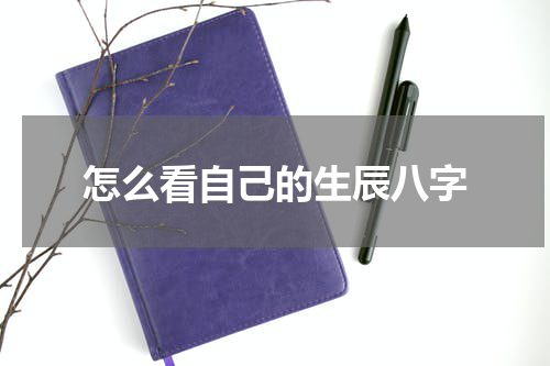 怎么看自己的生辰八字